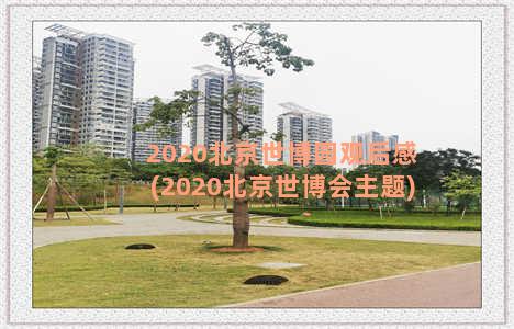 2020北京世博园观后感(2020北京世博会主题)