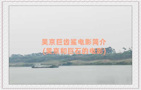 吴京巨齿鲨电影简介(吴京和巨石的电影)